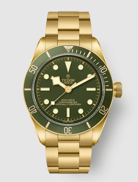 Replica Tudor Black Bay 58 Watch M79018V-0006